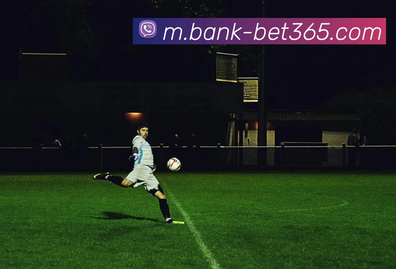 bet365平台生态图